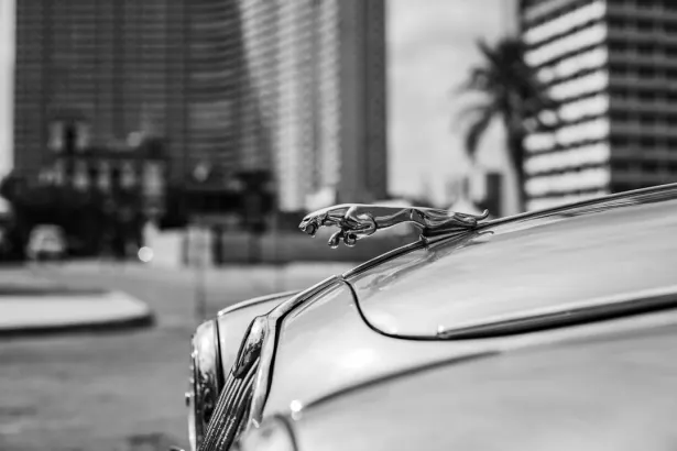 بيت ريجال كازينو تطبيق أندرويد/آي أو إس